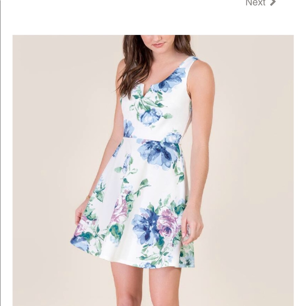 ISO Francesca’s Flor Scuba Dress